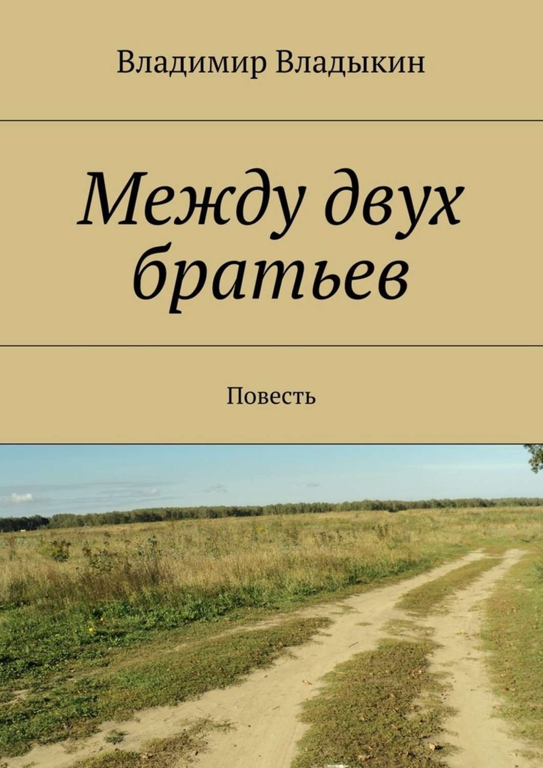 Реальный автор. Два брата книга. Книги Владыкин. Книги писателей братьев современные. Книга между двух.