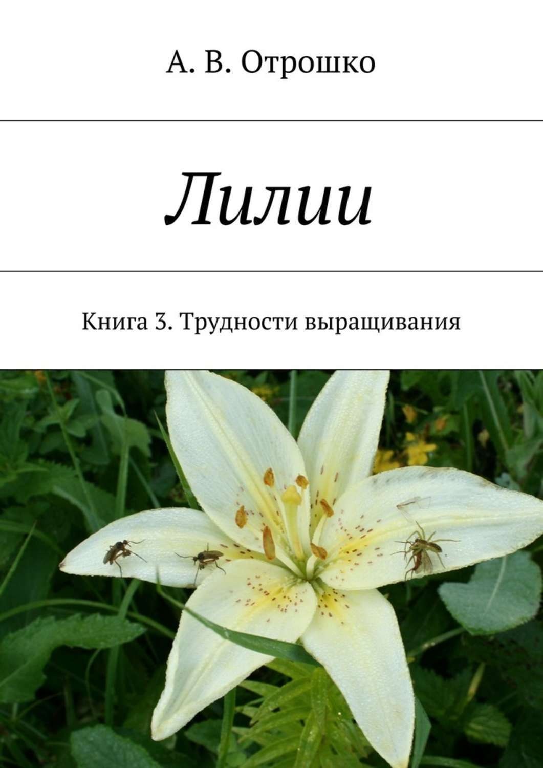 Лилии игры. Книга Лилия. Книги про лилии. Отрошко лилии. Смешное название лилии.