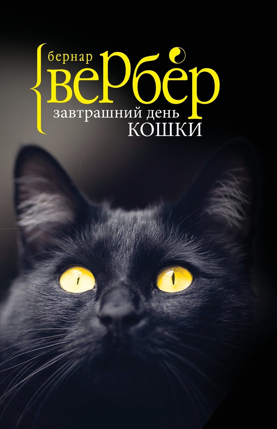 Цитаты из книги «Завтрашний день кошки» Бернара Вербера – Литрес