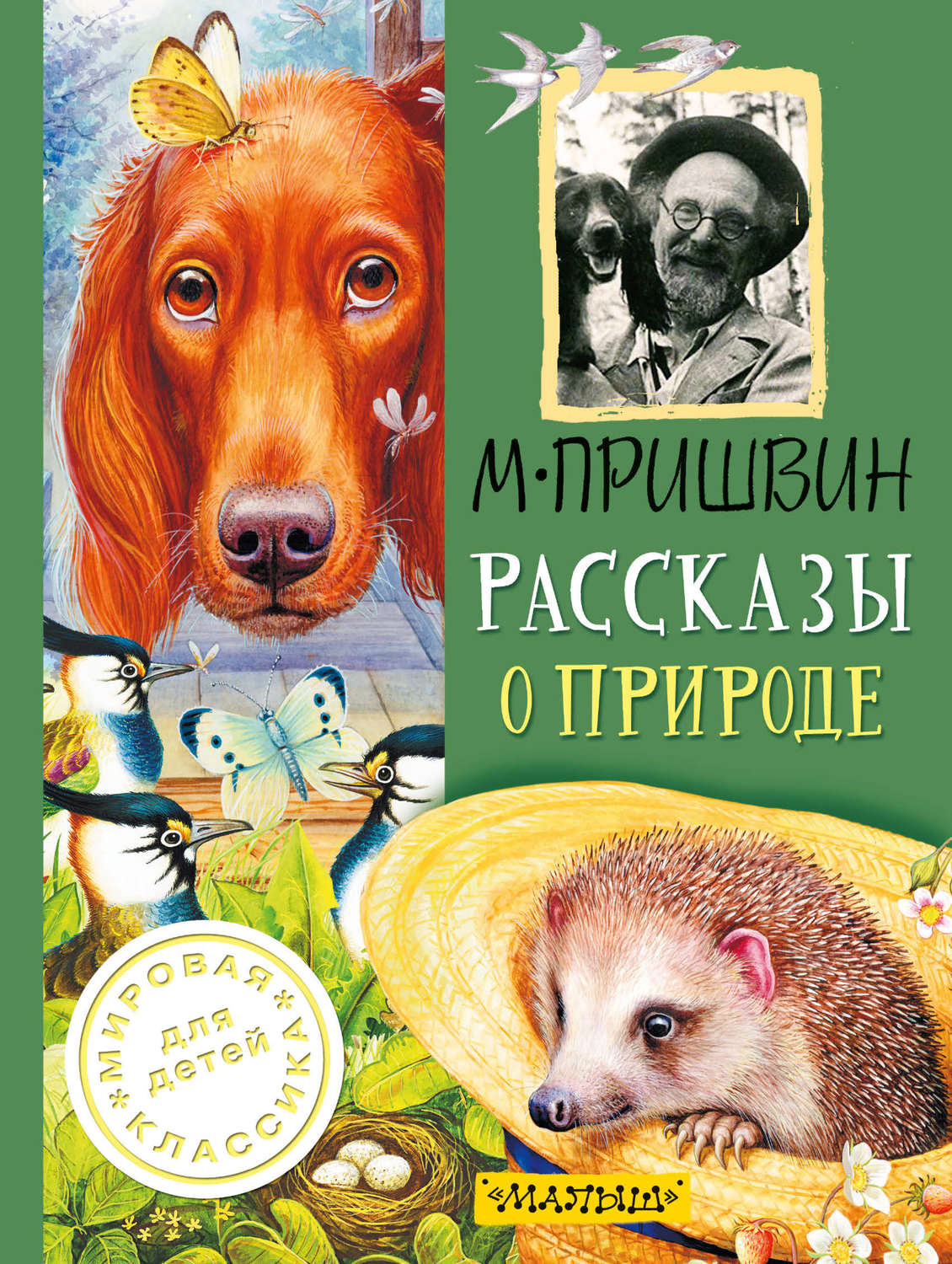 Книги пришвина. Книги Пришвина о природе для детей. Михаил пришвин рассказы о природе. Рассказы о животных Михаил Михайлович пришвин книга. Произведение Михаила Пришвина о животных и о природе.