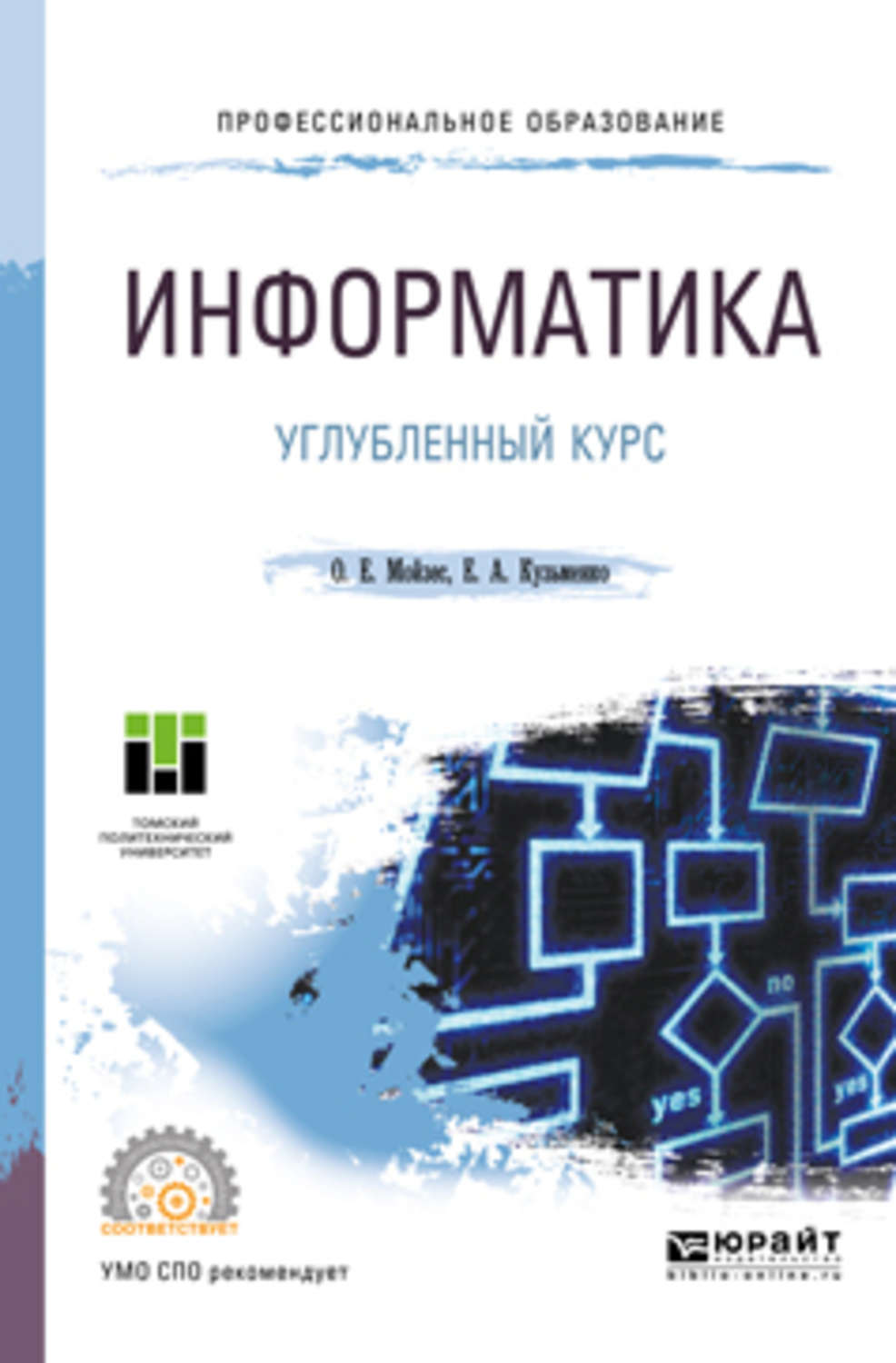 Углубленная информатика. Информатика углубленный курс. СПО Информатика. Е В информатике.