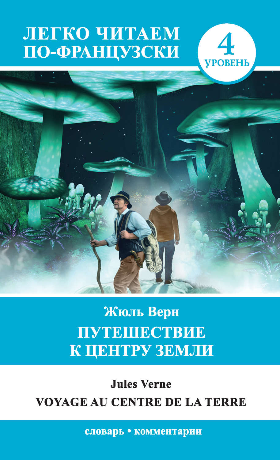 Читать книгу жюль верна путешествие. Верн путешествие к центру земли. Ж Верн путешествие к центру земли. Профессор Лиденброк путешествие к центру земли. Книга к центру земли Жюль Верн.