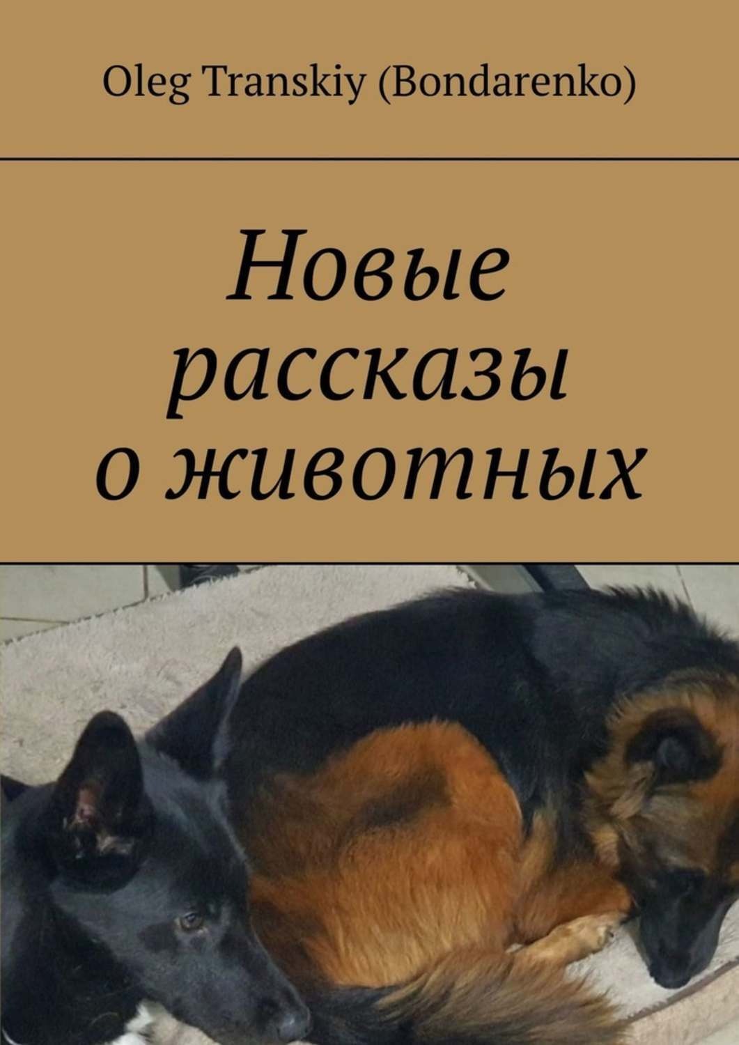 Новые рассказы писателя