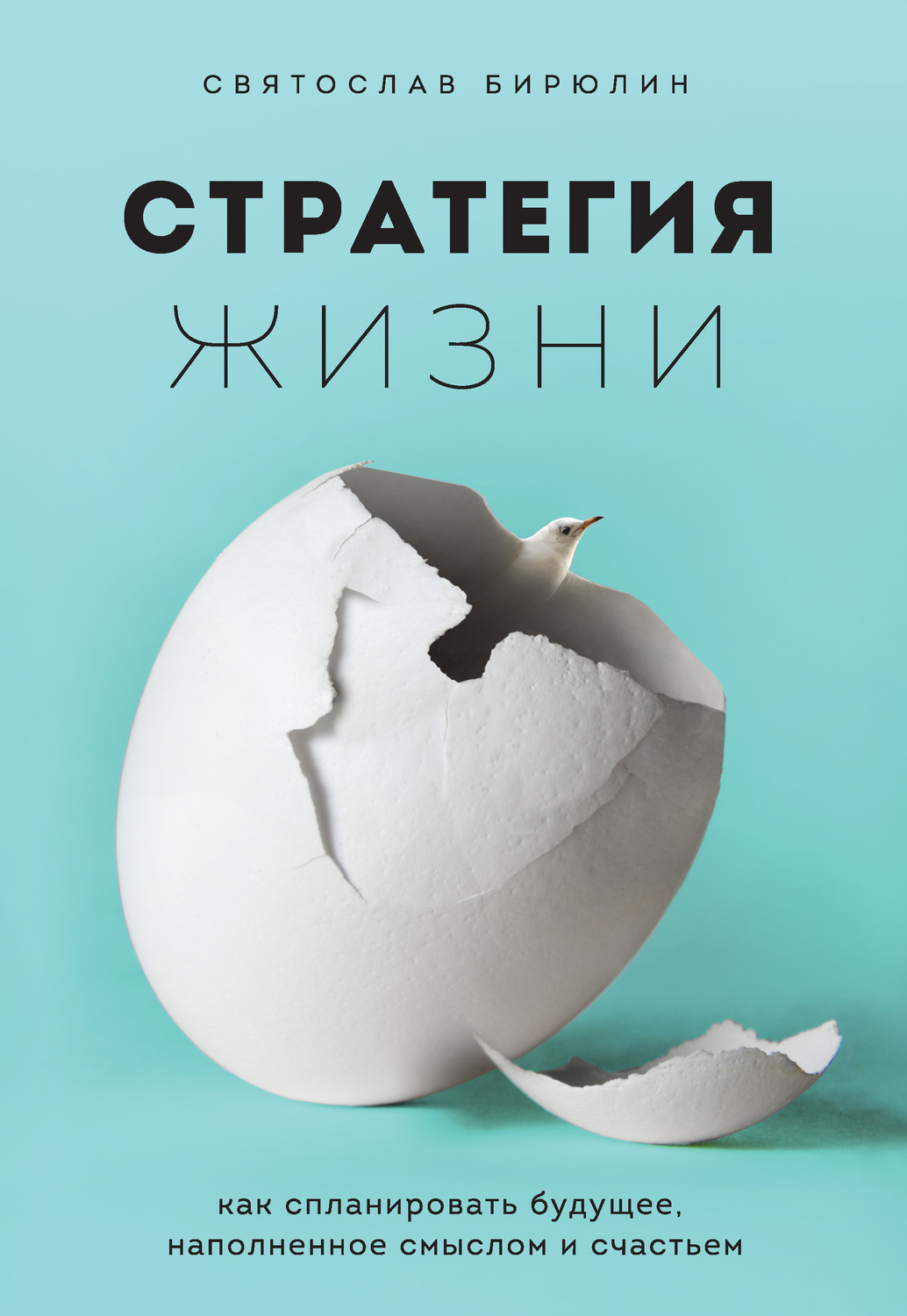 Цитаты из книги «Стратегия жизни. Как спланировать будущее, наполненное  смыслом и счастьем» Святослава Бирюлина – Литрес