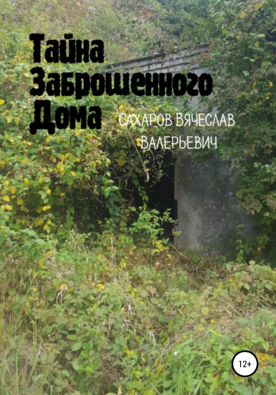 Тайна Заброшенного Дома, Вячеслав Валерьевич Сахаров – скачать книгу ...