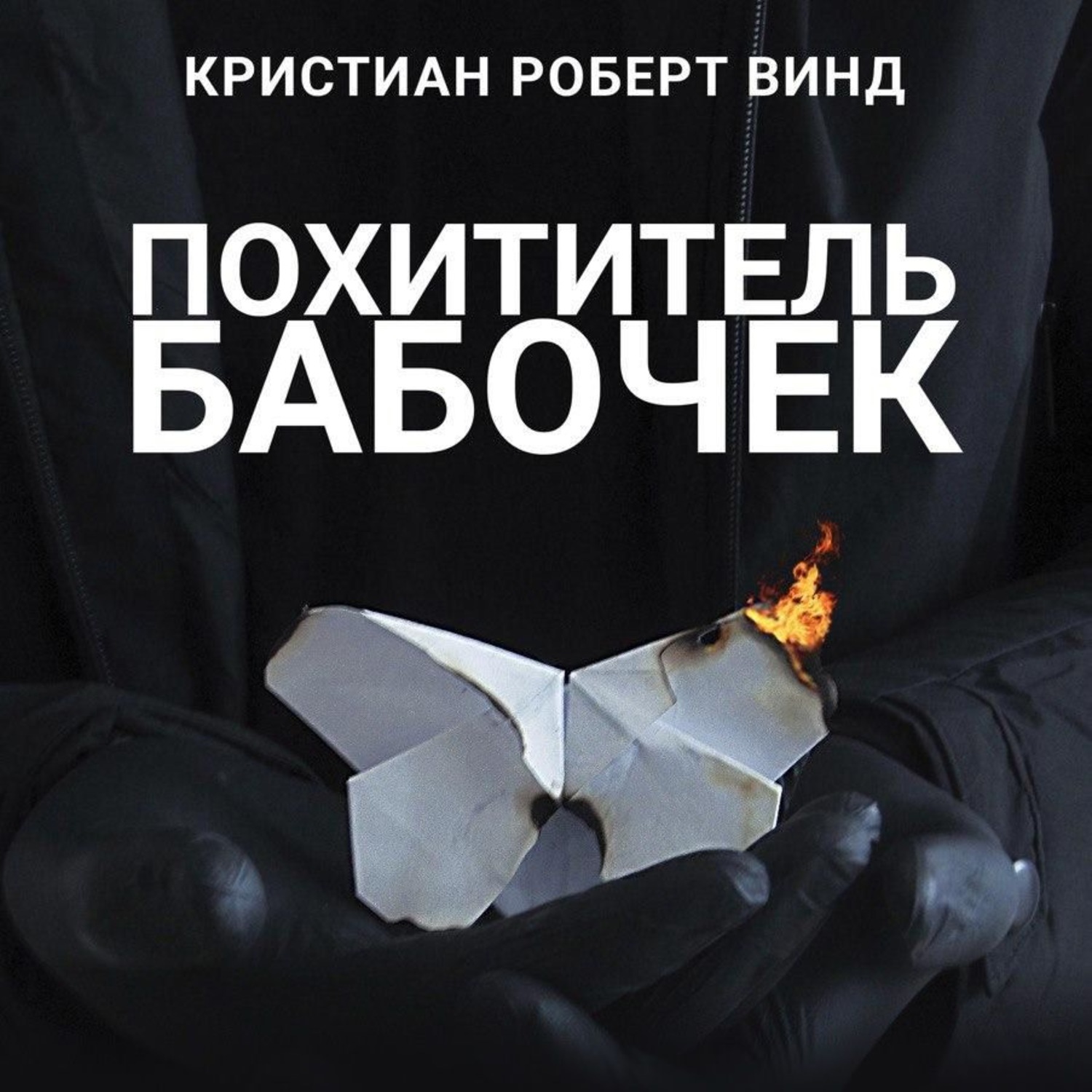 Книга кристиан. Кристиан Роберт Винд. Похититель бабочек книга. Кристиан Роберт книги. Кристиан Винд книги.