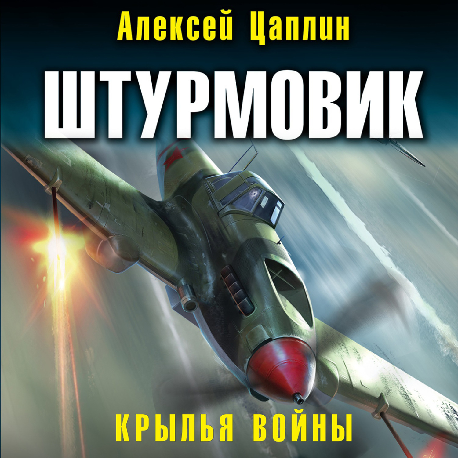 Аудиокнига крыло. Алексей Цаплин Штурмовик. Крылья войны. Алексей Цаплин Штурмовик минута до цели. Дом алфавита Юсси Адлер-Ольсен. Алексей Цаплин Штурмовик 3.