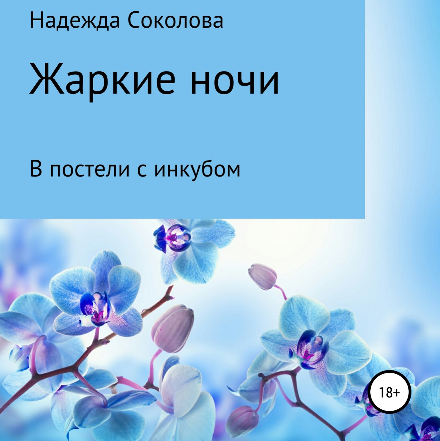 Надежда Игоревна Соколова, Жаркие ночи. В постели с инкубом – слушать  онлайн бесплатно или скачать аудиокнигу в mp3 (МП3), издательство ЛитРес:  чтец