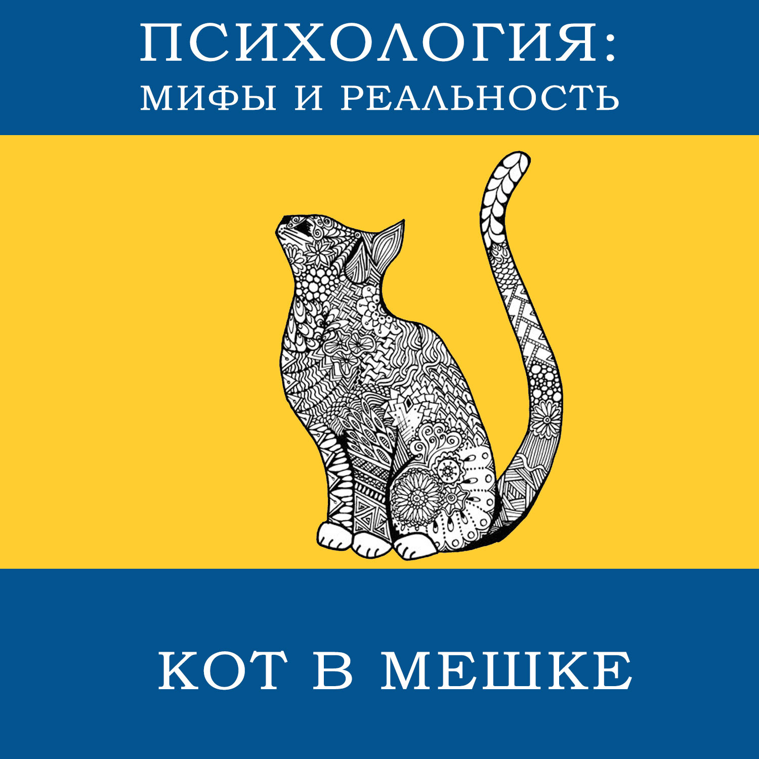 Продолжай подкаст кот. Александр котов Эстония. Быстрее заказывай котиков.