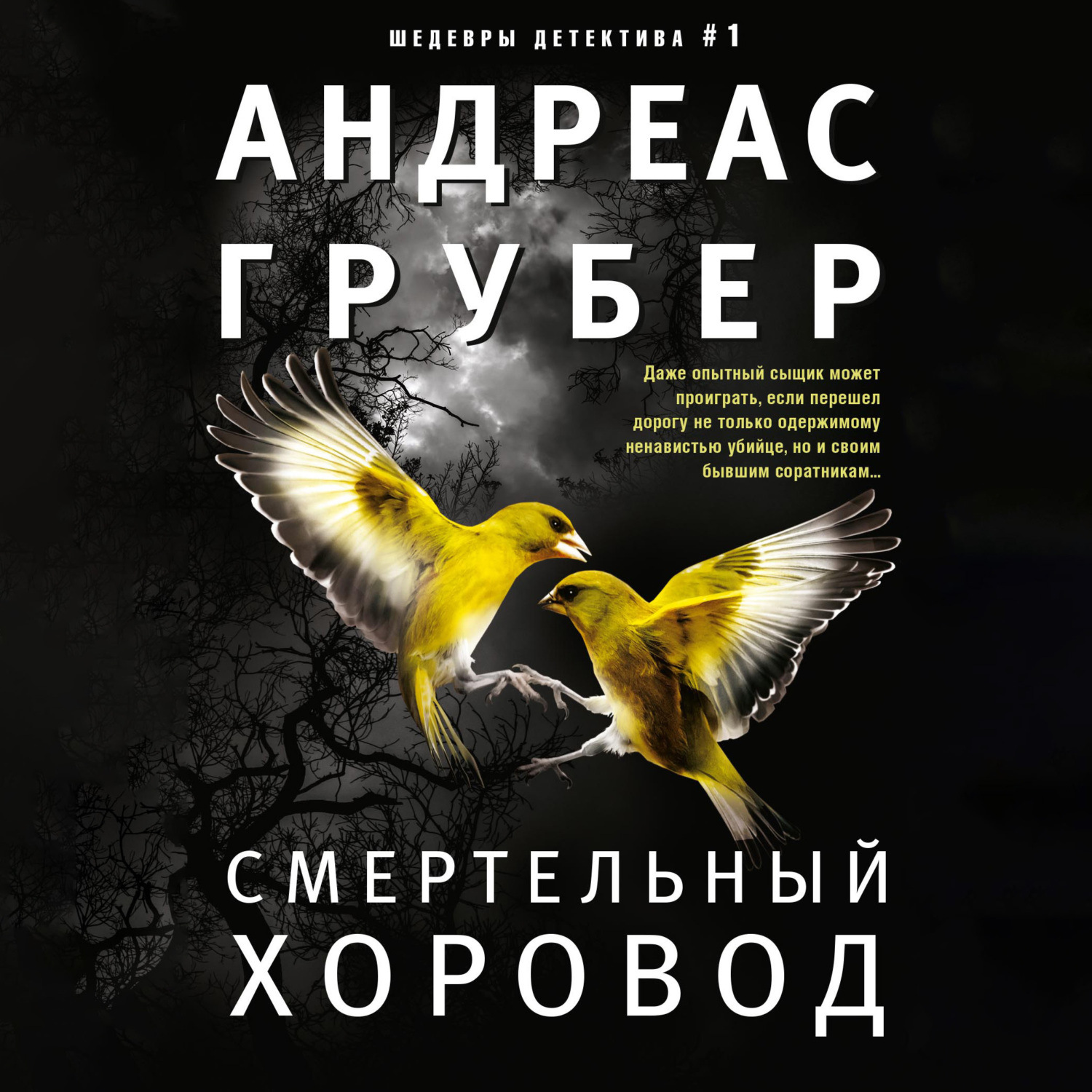 Андреас Грубер, Смертельный хоровод – слушать онлайн бесплатно или скачать  аудиокнигу в mp3 (МП3), издательство ЛитРес: чтец