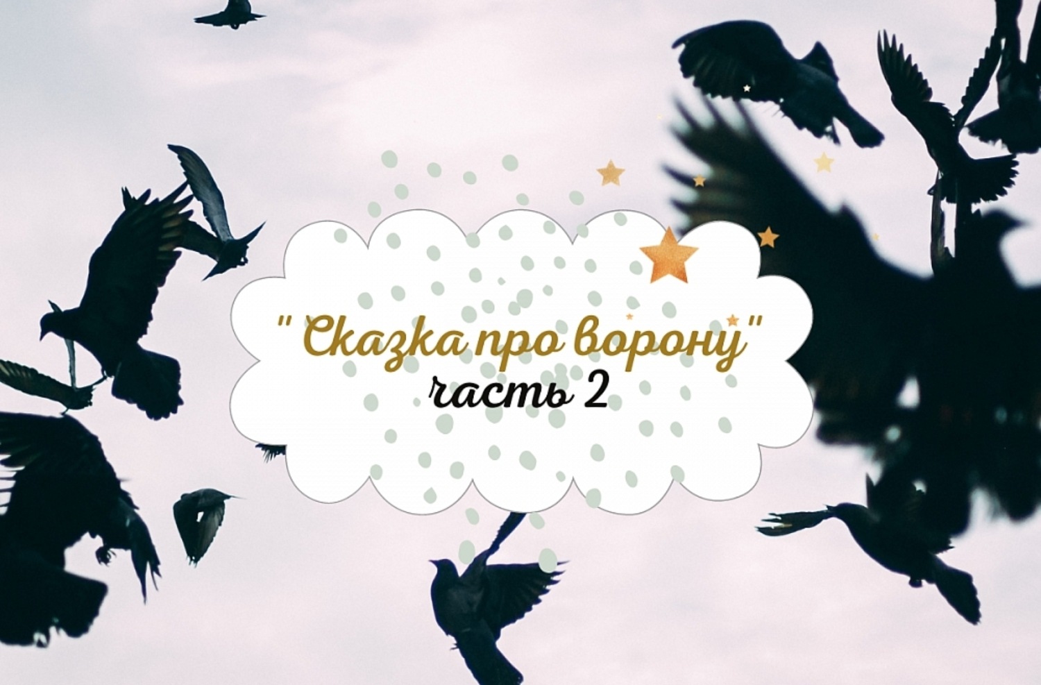 Видео про ворону прикол