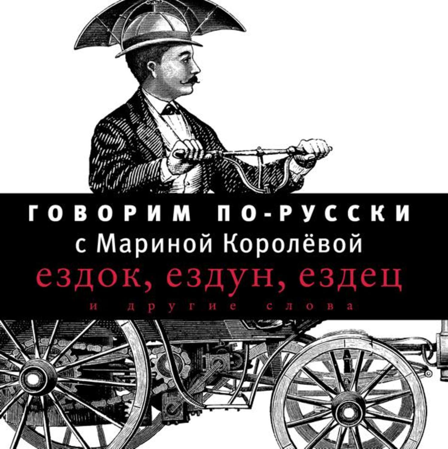 Аудиокнига разговаривать. Марина королёва говорим по русски. Говорим по русски с Мариной королевой читать книгу. Книга говорим по- русски с Мариной королевой картинка. Аудиокнига человек у руля Вимбо.