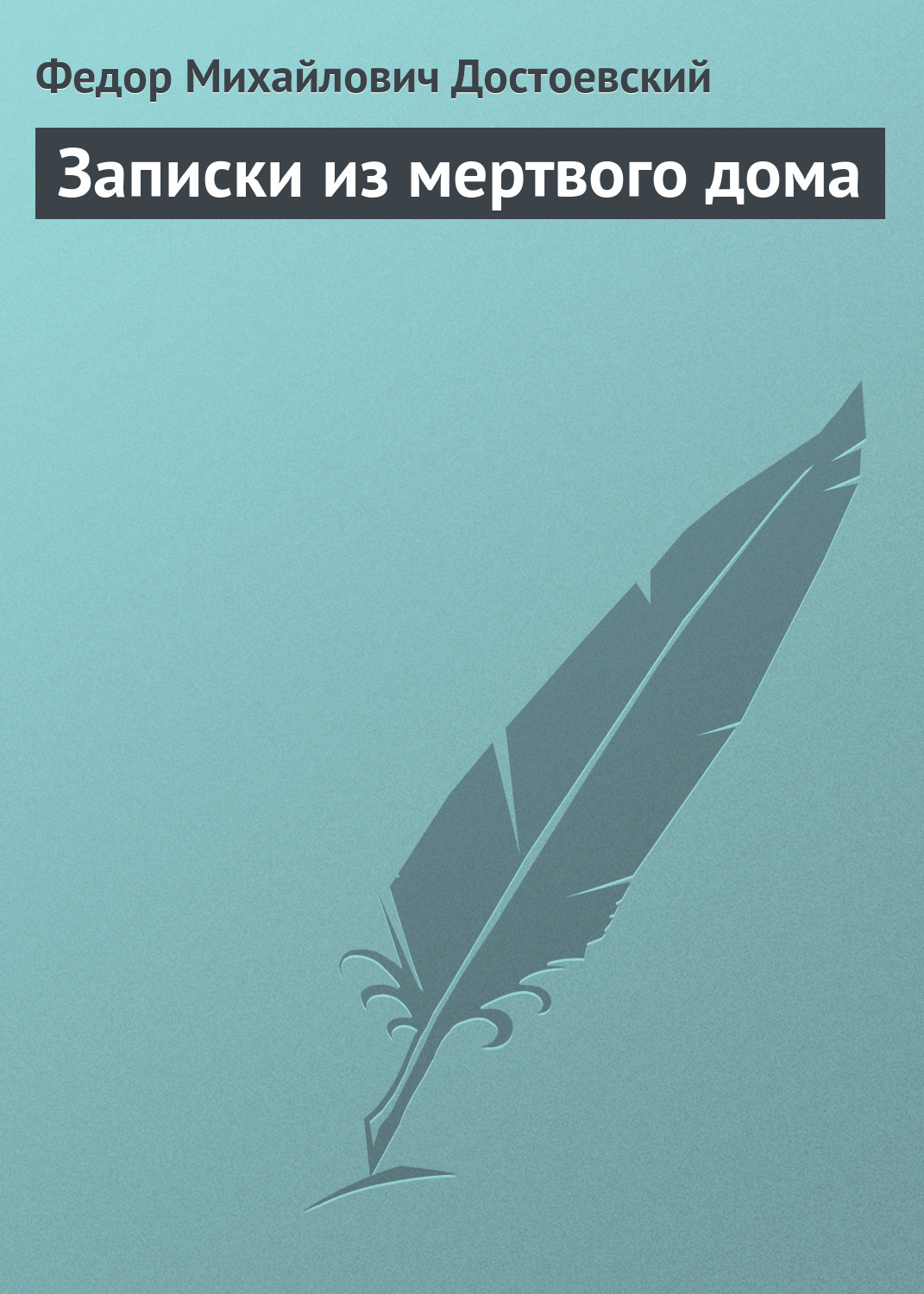 записки из мертвого дома скачать Федор достоевский, книга записки из мертвого дома – скачать.
