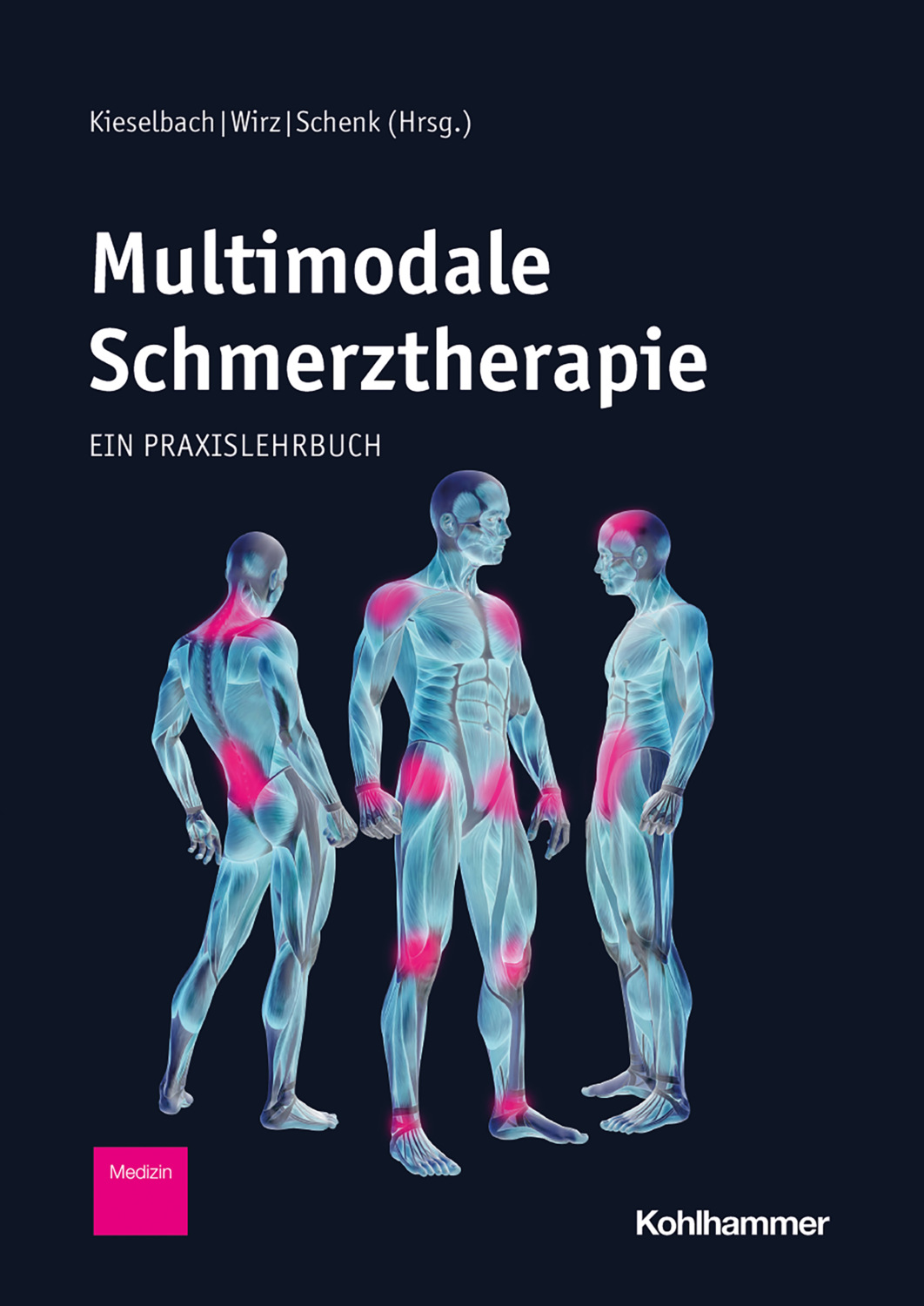 Multimodale Schmerztherapie / Ein Praxislehrbuch – скачать Fb2, Epub ...