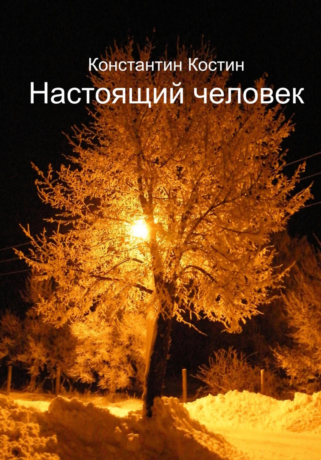 Настоящий человек, Константин Александрович Костин – скачать книгу ...