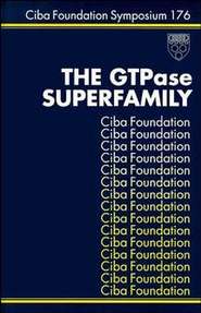 The GTPase Superfamily