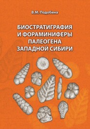 Биостратиграфия и фораминиферы палеогена Западной Сибири