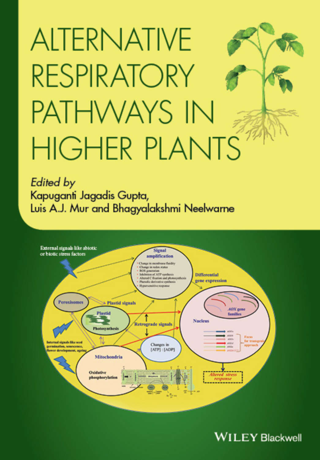 , книга Alternative Respiratory Pathways in Higher Plants скачать в